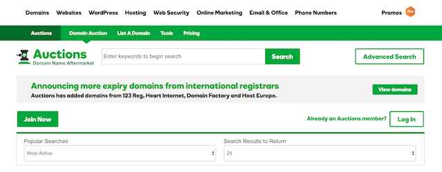 Domain Auction